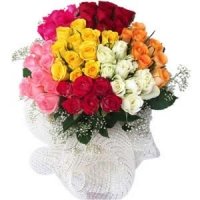 5 Dozen mix Rainbow Roses