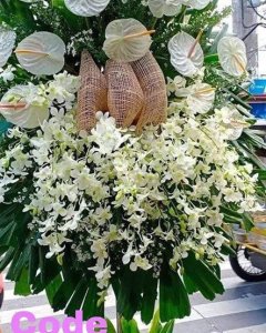 anthorium & orchids arrangements